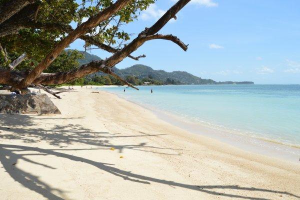 Grace Self Catering Apartment Anse aux Pins ภายนอก รูปภาพ